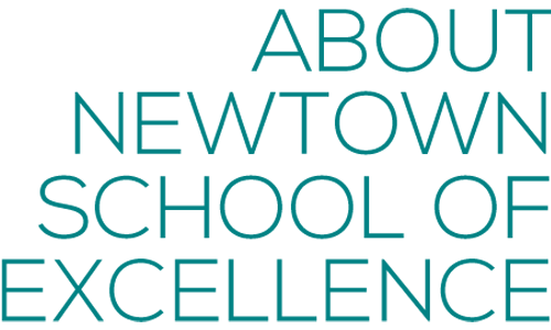About Newtown School of Excellence